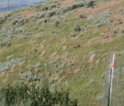 Montana2008 396